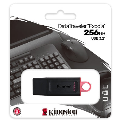 KINGSTON 256G DataTraveler Exodia USB Flash Drive